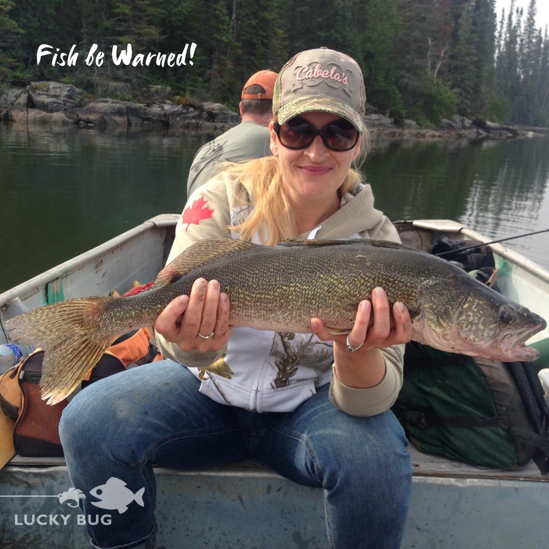 luckybuglures's tweet photo. What a beautiful Walleye!!! 😍
Lure: Zombie Maxx
#LuckyBugLures #BiteMe #FishBeWarned #ZombieMaxx #WalleyeFishing #WalleyeLures #Trolling #TrollingLures #KomboTool #FishingLife #Outdoors #Fishing #WalleyeWednesday #LakeLife #Boating #CatchAndRelease #FishingForWalleye https://t.co/AyGEt0eMjP