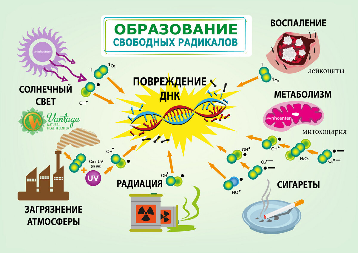 Картинки СВОБОДНЫЕ РАДИКАЛЫ СТАРЕНИЕ
