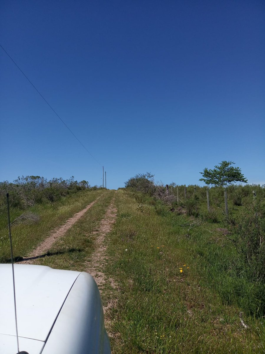 EntrebichitosMEN tweet media