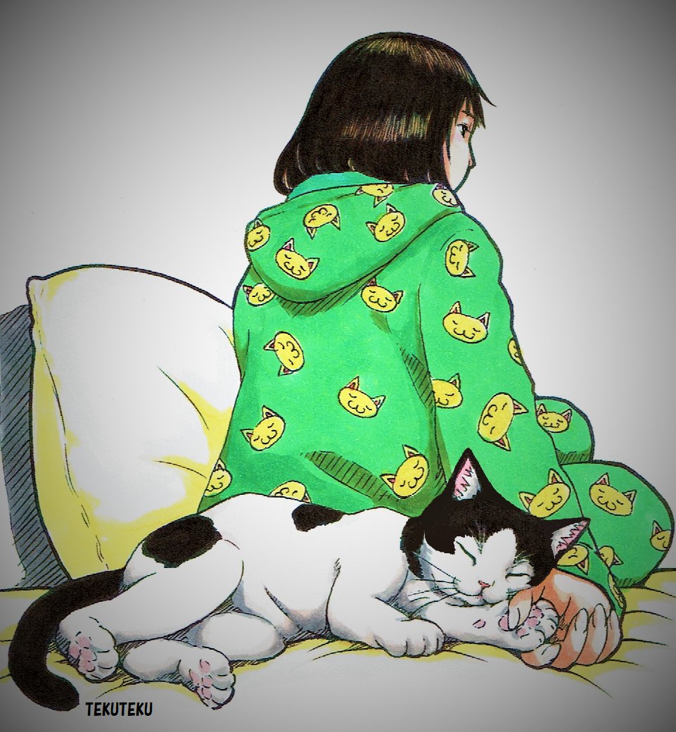 1girl cat hood pillow black hair solo hood down  illustration images