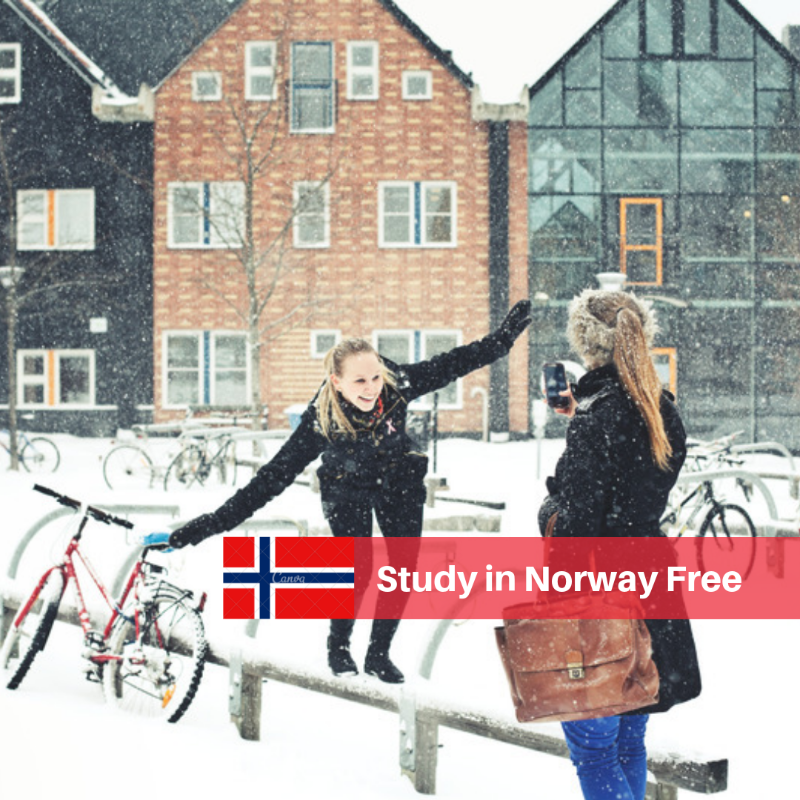 SEGabroad's tweet photo. Rediscover new ways to study in Europe free. https://t.co/VqKISAQi1I