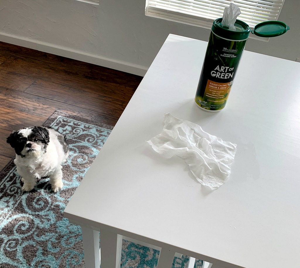 DonnaChaffins's tweet photo. #ad Do you have pets? If so, you know what an adorable mess they can be! I need a cleaner I can feel good using around Baxter, like @ArtofGreenHome! Learn more about Art of Green here https://t.co/uizTQP9Y3x #TheMessIsReal #ArtofGreen https://t.co/70RBy0vGky
