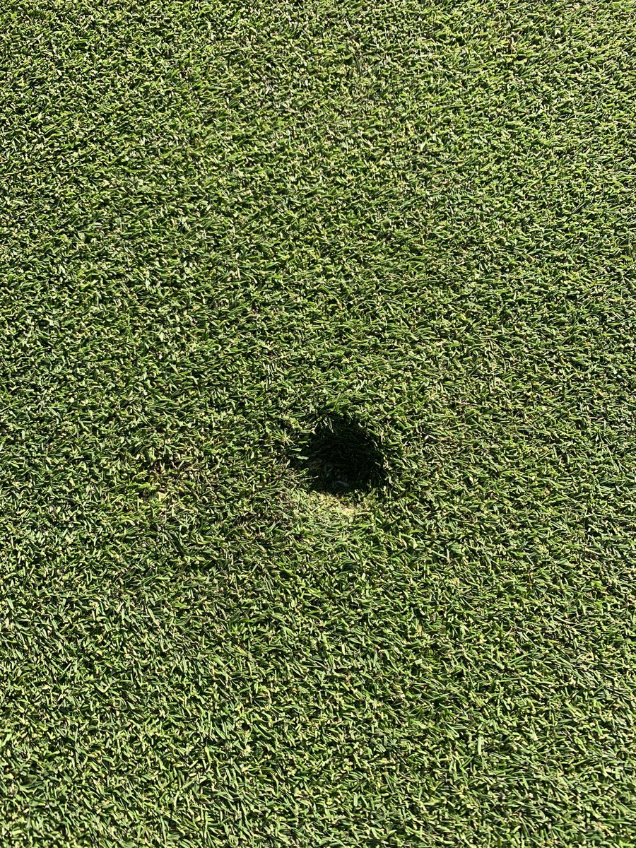 Hellooooo, anybody down there??  Lots of great weather over the next week ⁦@BayviewClub⁩ be sure to repair your ballmarks and any others by pushing the turf back into the middle- please don’t pry
