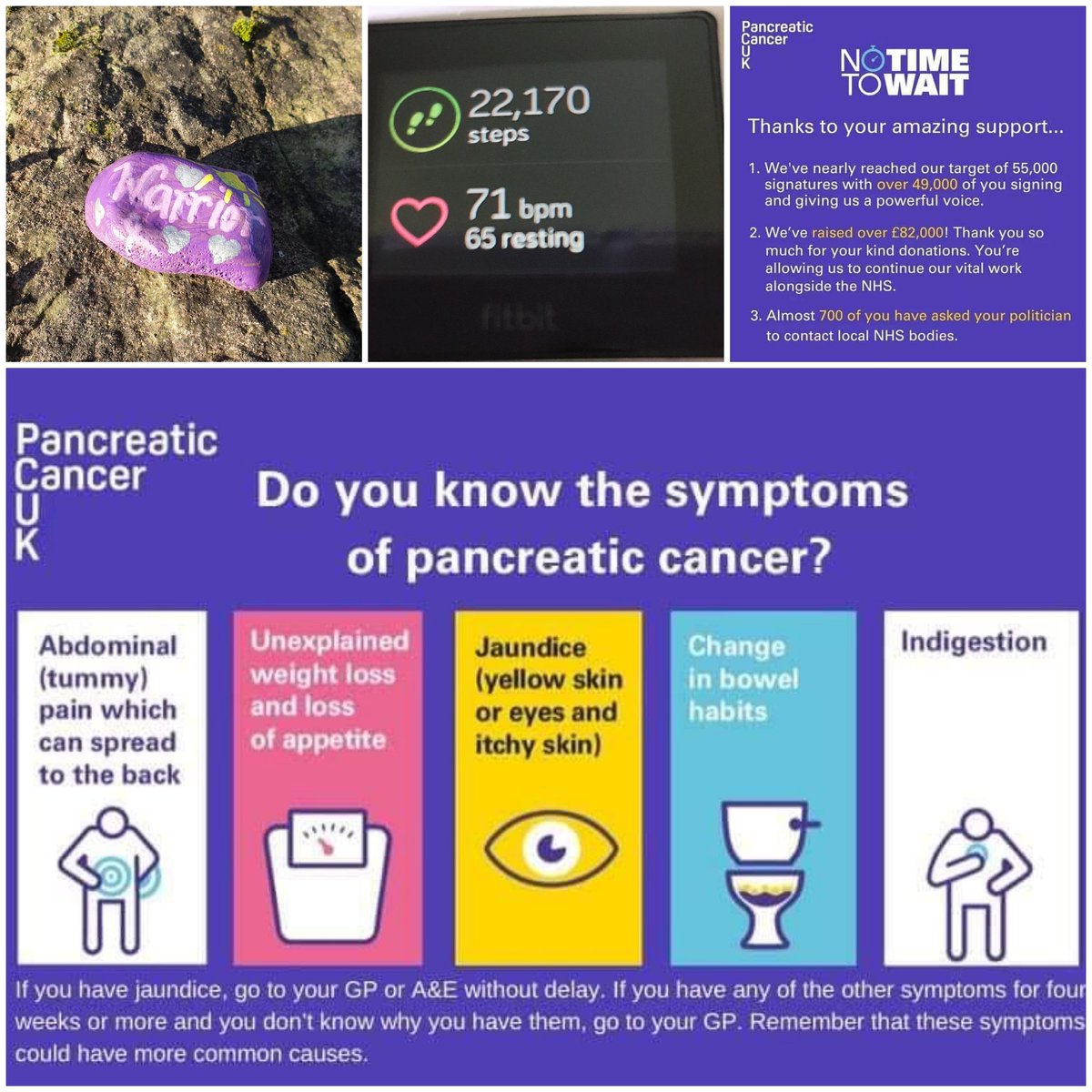 Cuckooqueen's tweet photo. Day 4  was supposed to be a rest day, Im exhausted from clearing leaves. Thank you so much all who have donated so far...we may well bust that target yet 💜 #purplerocks #warrior #Torfaenrocks #pcam2020 #pancreaticcancerawarenessmonth Pancreatic Cancer UK 💜 https://t.co/wFA2Wmcpze