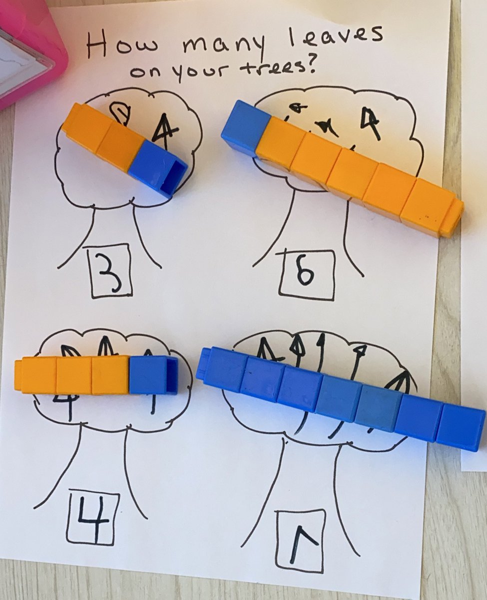 Harrington_AP's tweet photo. This Mathematician COUNTED ALL to find out there are 20 leaves altogether. How would you combine these numbers? #LPSHawks https://t.co/b2xfpAi0np