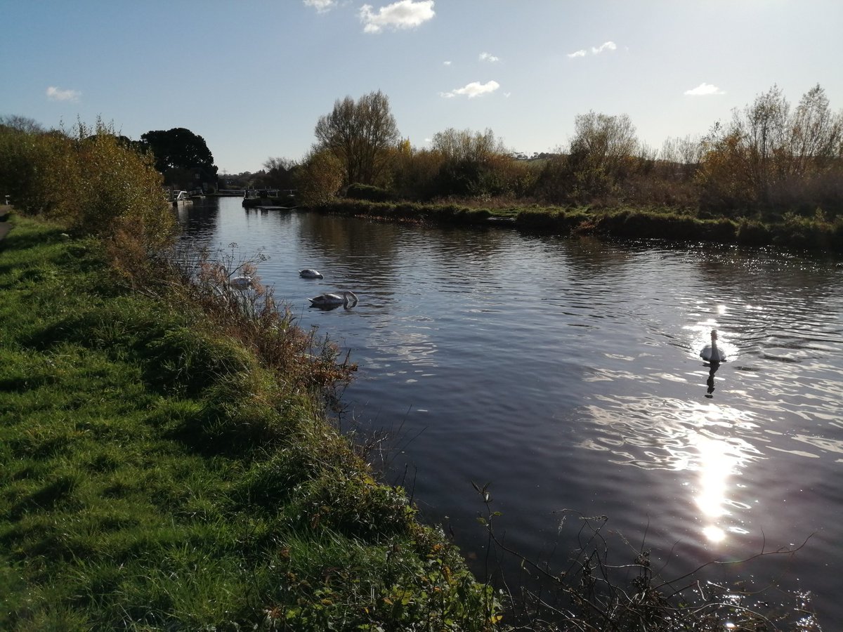 PascaleExeter's tweet photo. #MarkingWalk. https://t.co/ghiT2o1EeU