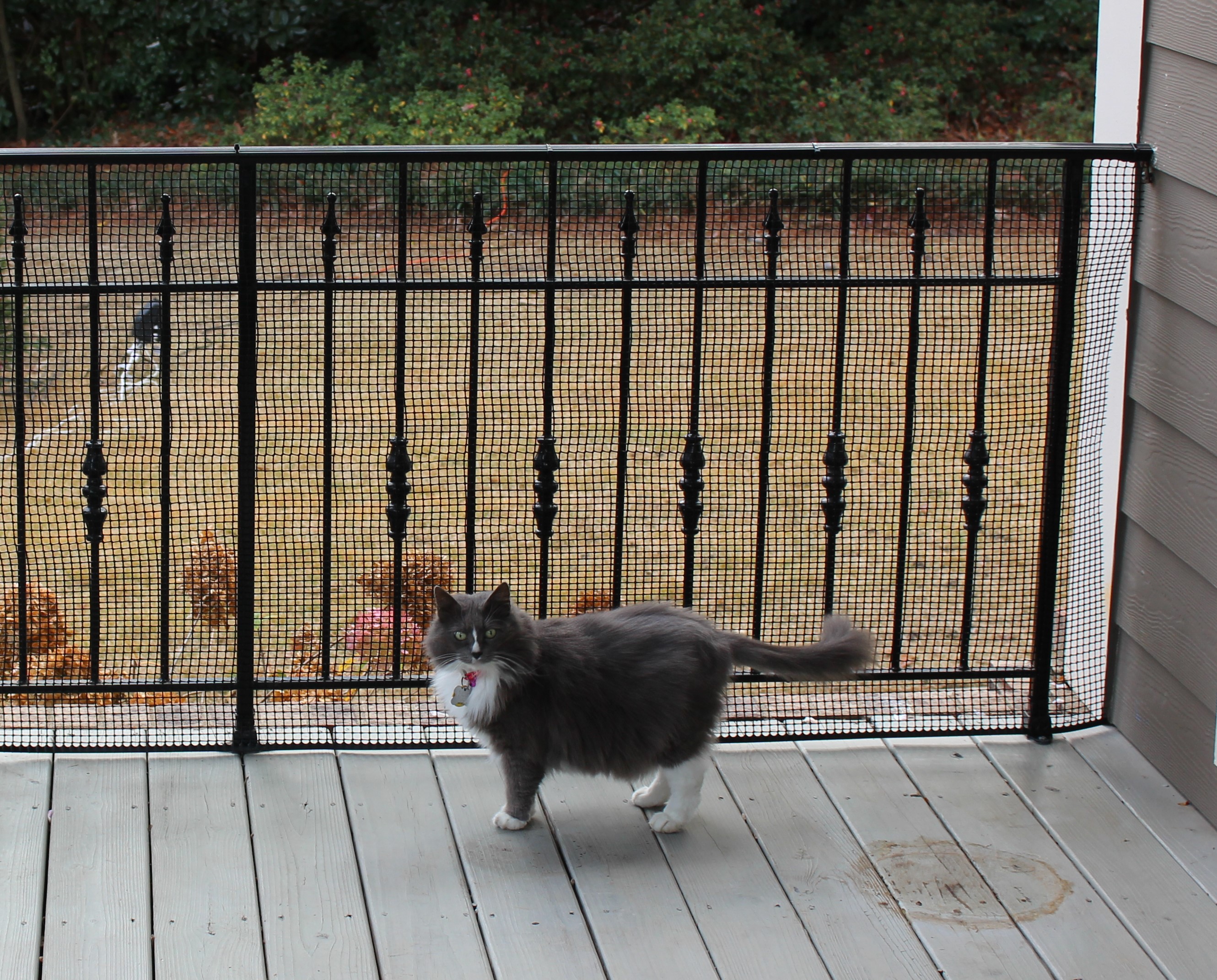 Pet gate 2025 deck netting