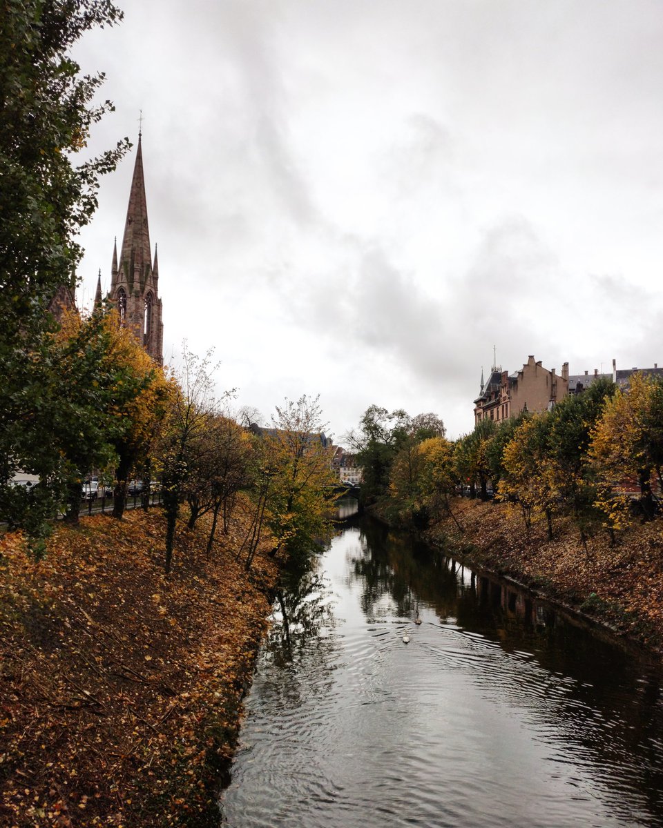 mfcespedesd's tweet photo. Jour 3
École d'automne 🍁🍂 management de la Créativité 
Strasbourg 🧡
#IPI15 #pandemixmob @creasxb https://t.co/gPFks3naKi