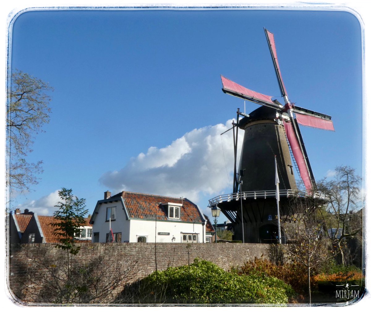 adriana57's tweet photo. Heerlijk rondje #IJsselstein gefietst en genoten van het zonnetje, kwam langs de spiegelende #Gerbrandytoren, de #Kasteeltoren, korenmolen de #Windotter en het Paardenlaantje(foto van vorige week) fijne avond🙋🏻♀️ https://t.co/VEBzTO3z9o