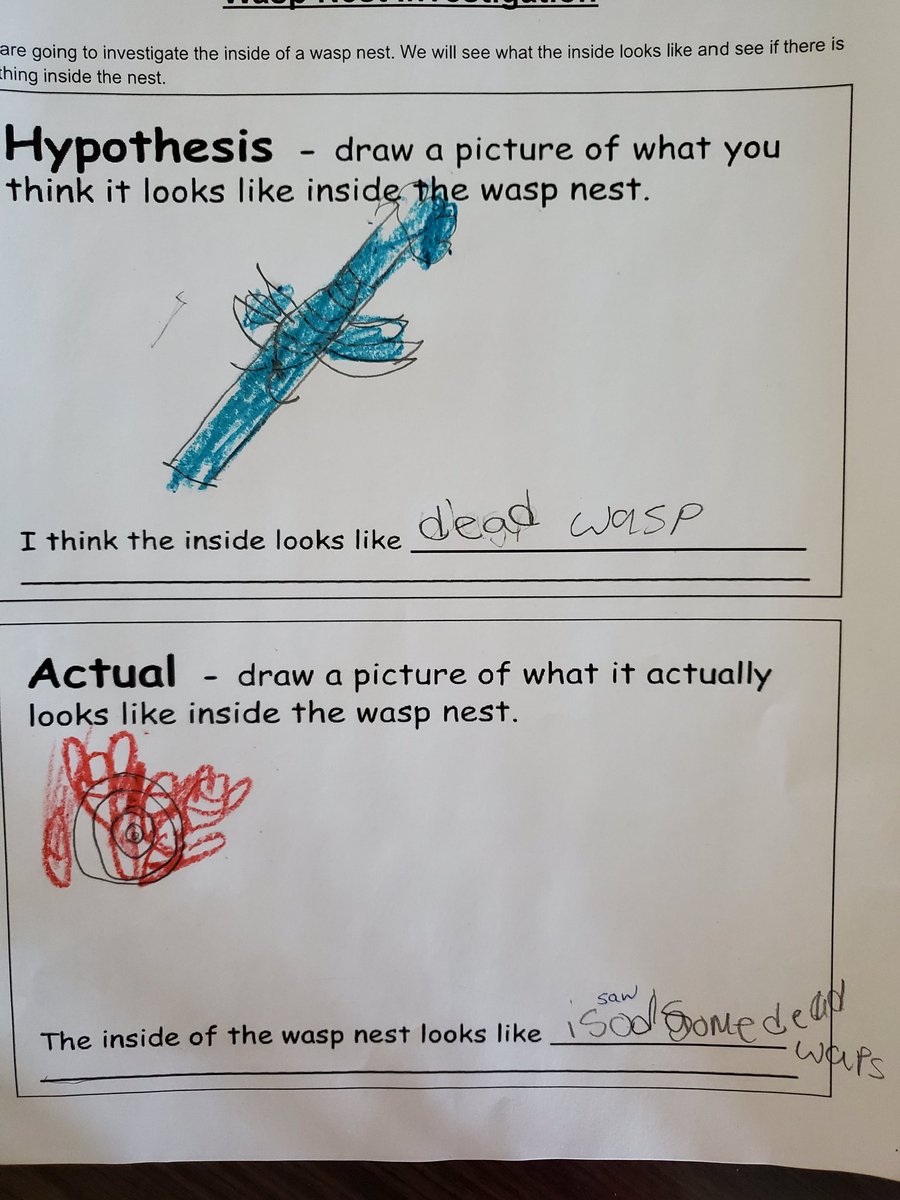 terilynnmonague's tweet photo. Today in grade 1 Science, we investigated a wasp nest! We saw some really cool things, but thought it smelled really bad! 🐝 @ChrisHadfieldSc @SCDSB_Schools https://t.co/leIuT12wk3