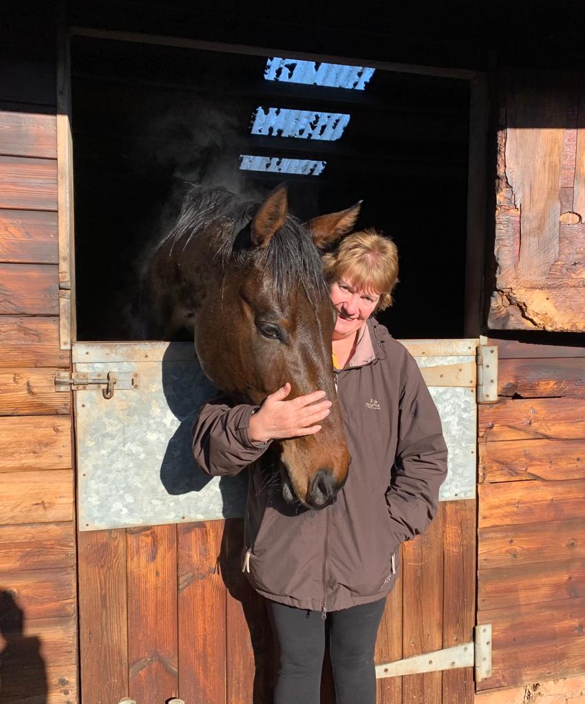 KittymoreStud's tweet photo. A good morning out for #KittymoreRacing #KittymoreStud at #CJDownRacing visiting Apple aka #PuzzleCache and Ozzy aka #MrSocialable 
#Racehorses #NHRacing #MobilePhonePhotography #HMLPhotographic https://t.co/LrtJWgB1qY