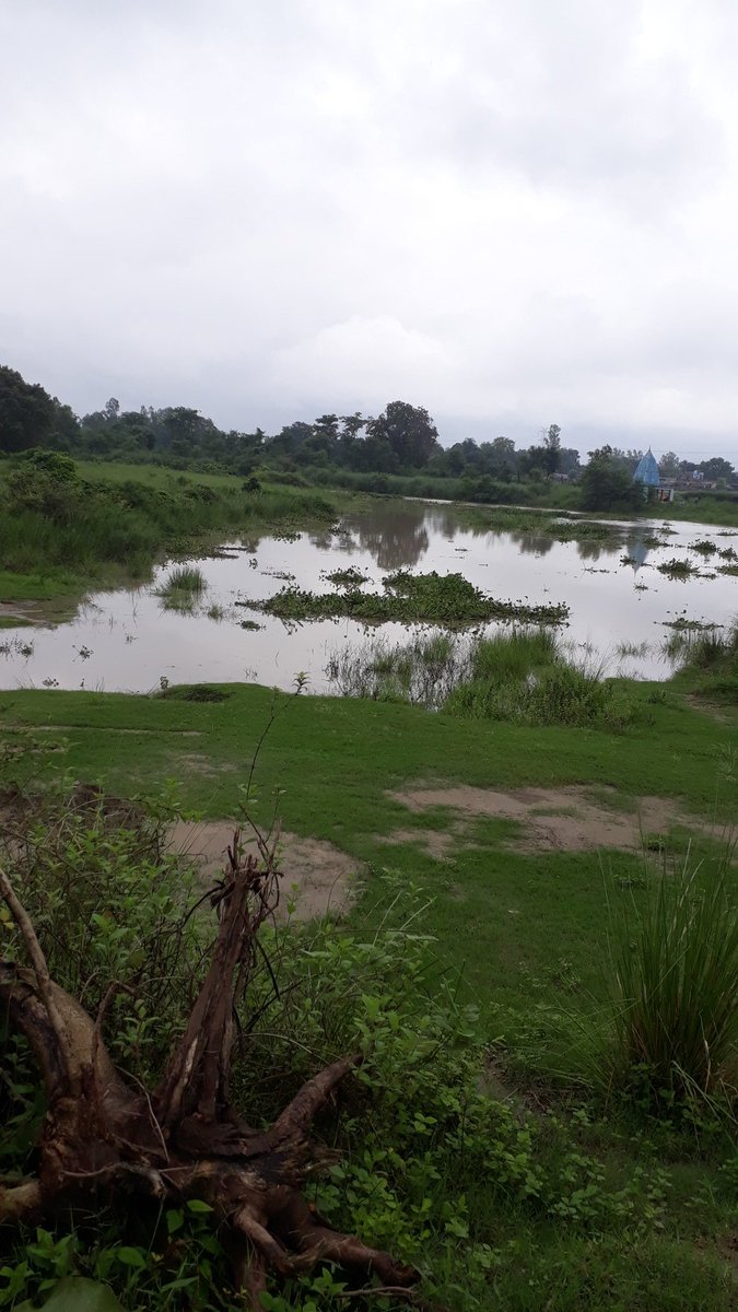 मेरे अर्पित जल से चंद्रमा को कोई सरोकार नहीं पर अच्छा लगता है आपके हाथ से दो घूंट पीना ,मेरे प्राण पिये