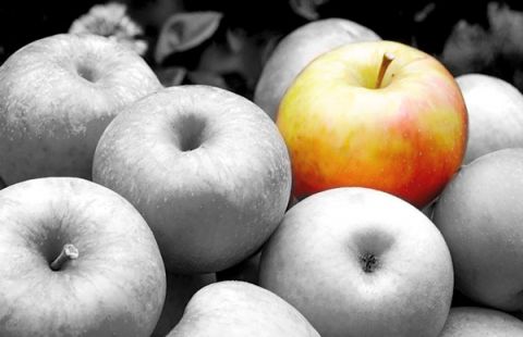 What can you do when you make the wrong hire for a senior position? It has been said that the cost of a bad executive hire can be up to 15 times their annual salary. How well did your last senior hire fit in? #HR bit.ly/2HZsCoQ