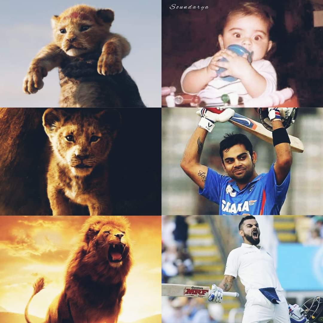Trendkohli's tweet photo. Beast best🔥

#HappyBirthdayVirat @imVkohli https://t.co/fCICzUWr9v