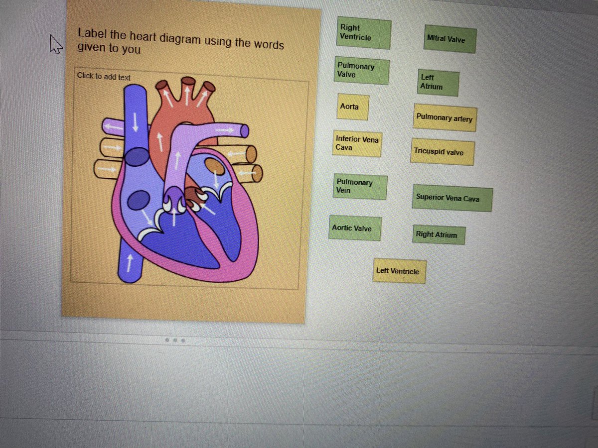 ag_rowe's tweet photo. Created an interactive heart diagram to study circulatory system in animal Science!!! I love it!!! Great work #agrocks #distancelearningprojects @McAllenISDCTE https://t.co/wpd5aNv8QS