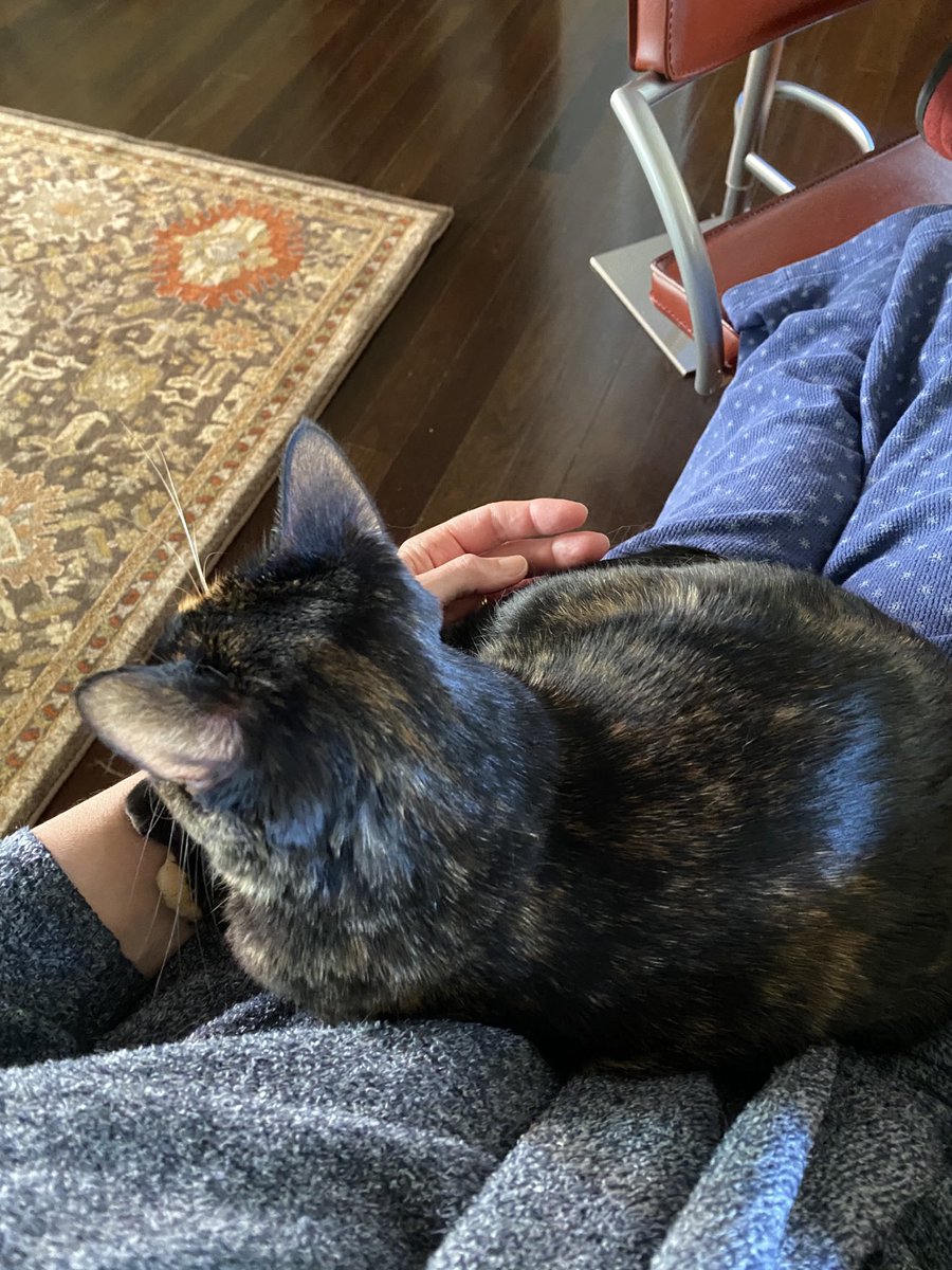 My emotional support counselor is staying close...