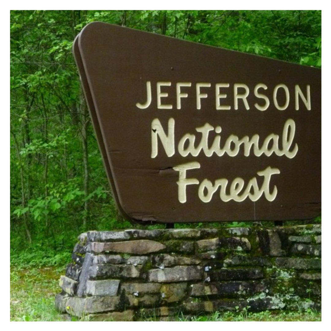 uvawstudentrec's tweet photo. #EXPLOREWISE // 

The Jefferson National Forest offers just about everything you can think of! Check out https://t.co/8Dt8QHbgVb to see how you can spend your day exploring this forest. https://t.co/PcT8F66jRw