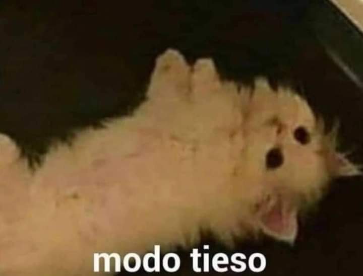 __vandekamp's tweet photo. Cuando haces la equivocasión de chat pero lo eliminas antes de que lo vean: https://t.co/Xztibxd3bB