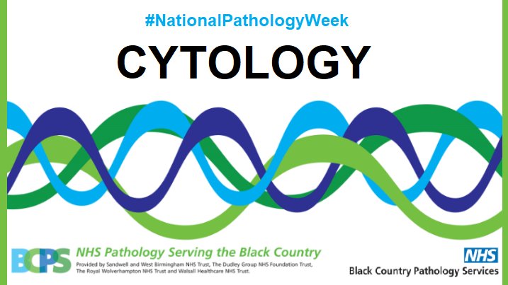 RWT_NHS's tweet photo. "We are all proud to work as part of the NHS Cervical Screening Programme - helping to save the lives of thousands women each year. 

"Cytology is made up of an amazing, hardworking and dedicated group of staff" - Kirstie Rice, Consultant Biomedical Scientist #NPW2020 https://t.co/DTGP49fpGX