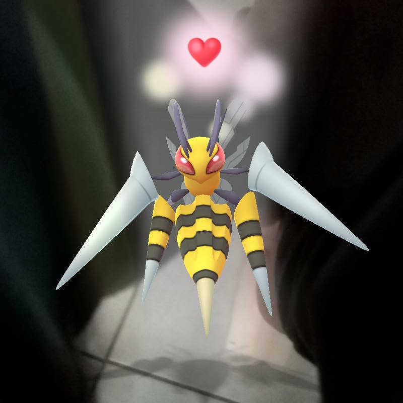 ppppa71's tweet image. #新头像