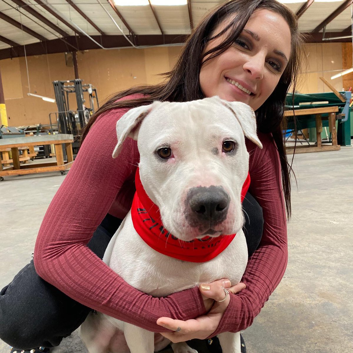 EncoreMech's tweet image. Encore Mechanical’s pet of the week! 
Meet Chrissy. Her favorite pastime is chasing cows, playing fetch, and stealing Paul’s chair. Did we mention she loves to cuddle!? One thing she really doesn’t like is the cold, but who could blame her?