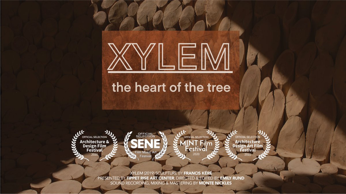 TippetRise's tweet photo. We're honored to announce that Xylem, the Heart of the Tree has been accepted into four film festivals. Congratulations to Director @EmilyRun_d and @fuergando, the creators of the film's inspiration! To watch: https://t.co/TSy9n0yaSy @mtintlfilmfest @SENEFest #ADAFF @ADFILMFEST https://t.co/EBFcnhoQXx
