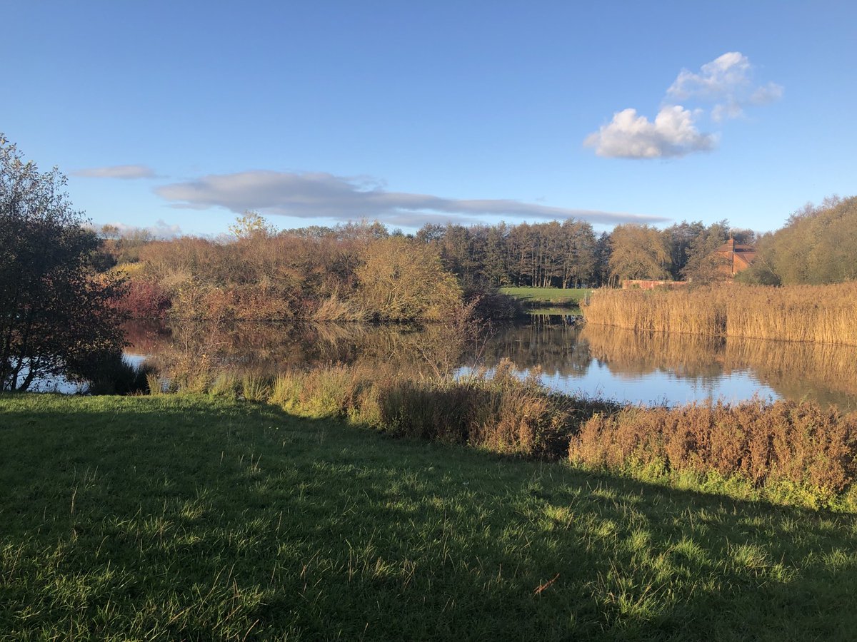 mountgirl77's tweet photo. #nofilterneeded #lockdownweek2 https://t.co/ulGg7yTOyg