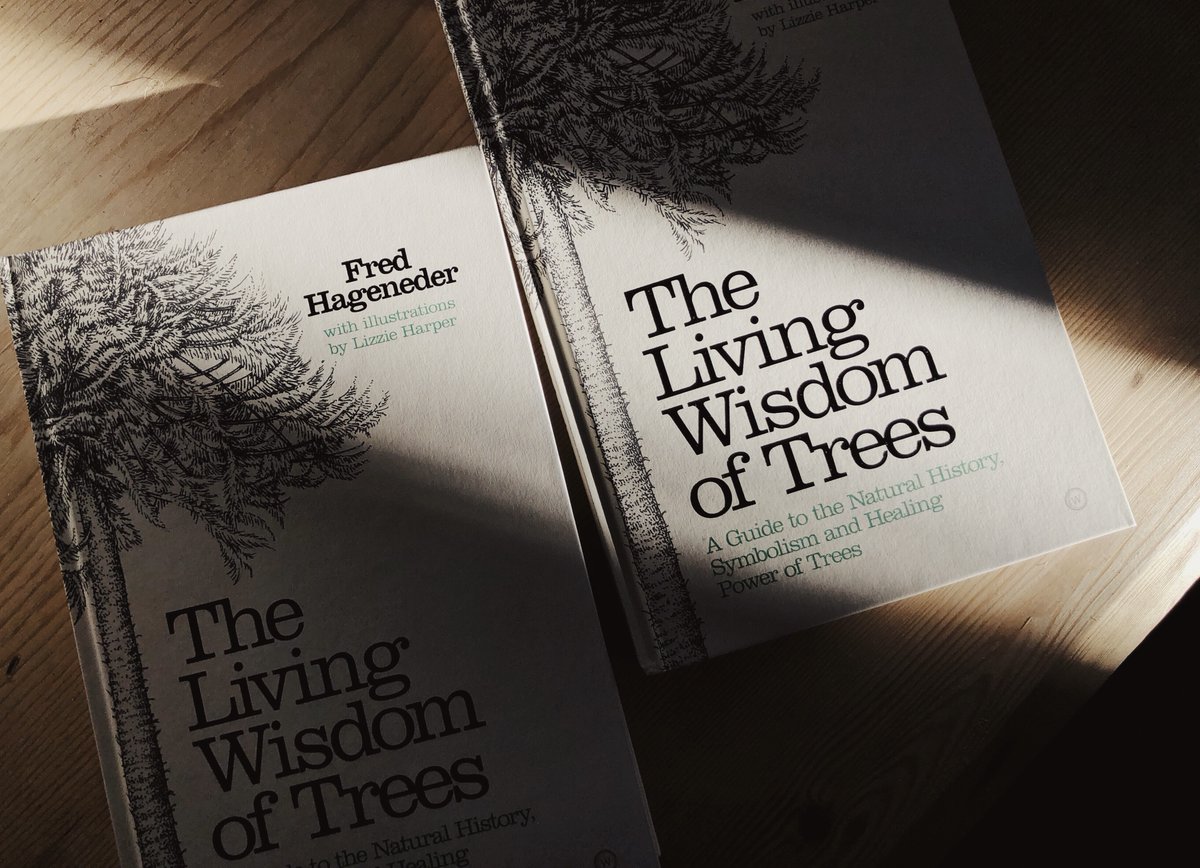 elementumjournl's tweet photo. A beautiful concept that brings together the science, art and folklore of trees. Very Elementum! Artwork is superb and the book is beautifully produced. #thewisdomoftrees #natureandstory
https://t.co/tERw9uCI4U https://t.co/wk2Dt0Uqpq