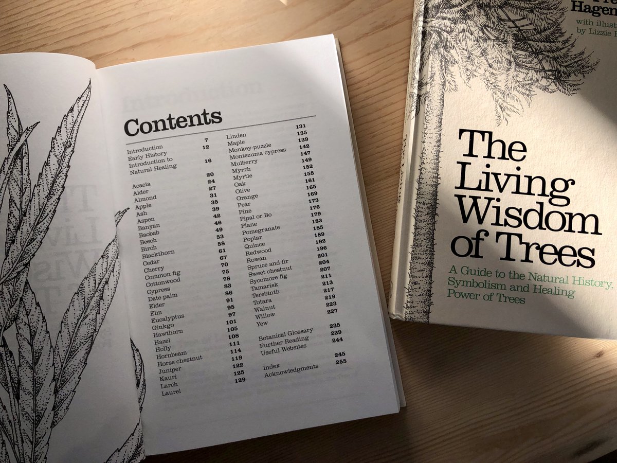 elementumjournl's tweet photo. A beautiful concept that brings together the science, art and folklore of trees. Very Elementum! Artwork is superb and the book is beautifully produced. #thewisdomoftrees #natureandstory
https://t.co/tERw9uCI4U https://t.co/wk2Dt0Uqpq