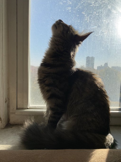 ✨ https://t.co/zV3g5fIhIz ✨ https://t.co/YTqXrvxJh2<a href="/tag/goose"class="tags"><span>#goose</span></a><a href="/tag/showerjams"class="tags"><span>#showerjams</span></a>