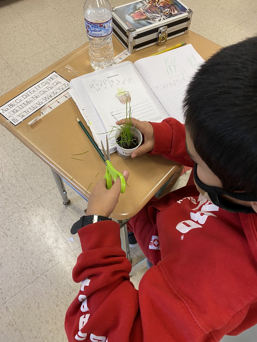 murphylps's tweet photo. Need end of the year lawn maintenance? Hire the LES Grasshopper Landscaping Company for all your lawn care needs! .... #firstgradefun @FOSSscience #hybridlearning “What will happen when we “mow” our lawns?” https://t.co/hu5UGHYWxZ