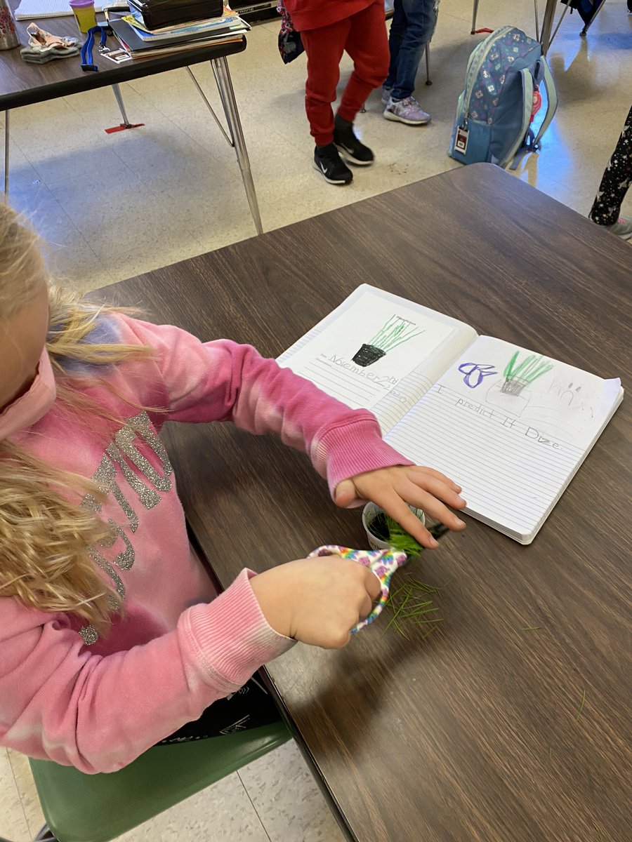 murphylps's tweet photo. Need end of the year lawn maintenance? Hire the LES Grasshopper Landscaping Company for all your lawn care needs! .... #firstgradefun @FOSSscience #hybridlearning “What will happen when we “mow” our lawns?” https://t.co/hu5UGHYWxZ