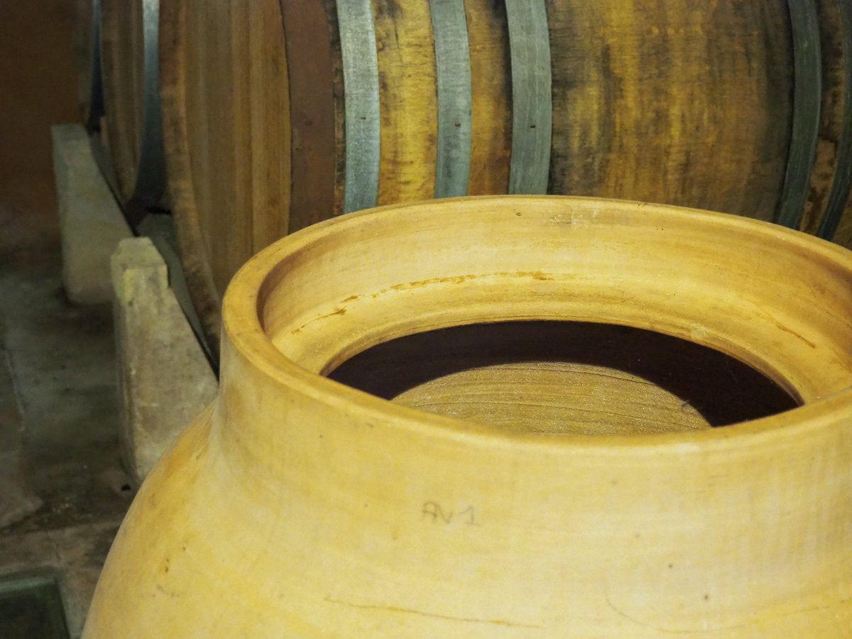 Visionaris tweet media