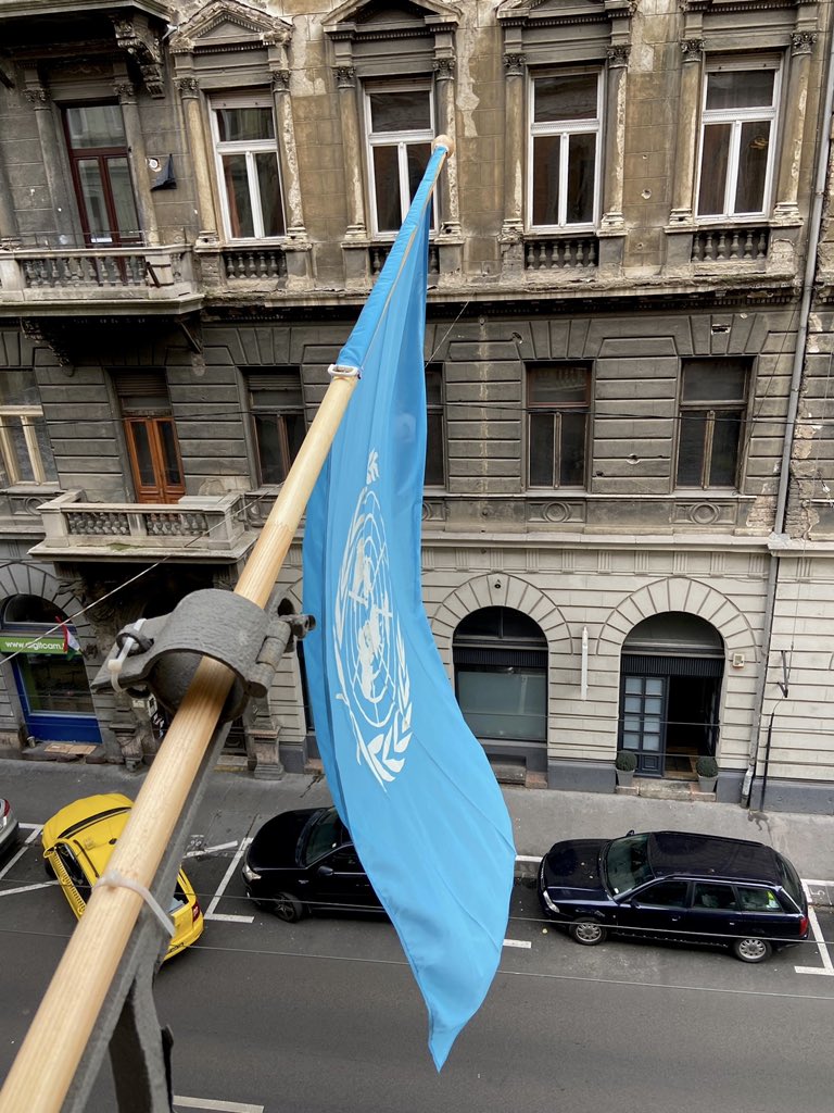 FAOAzerbaijan's tweet photo. Behind the scenes at #ERC32, staff members at #REU office worked tirelessly to ensure a safe & smooth virtual conference.
Event brought together over 270 representatives from 51 members in Europe and Central Asia.
#Thanks to all little hands & their dedication during the event! https://t.co/Do92pQc0x3