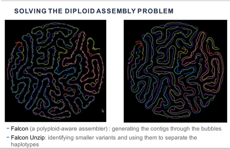 infoecho's tweet photo. Very nice to see this simple idea (contributed by many) becomes more mainstream now. From #GI2015 to #Biodata20 https://t.co/QPjTZei1rX https://t.co/NFfa6633oH