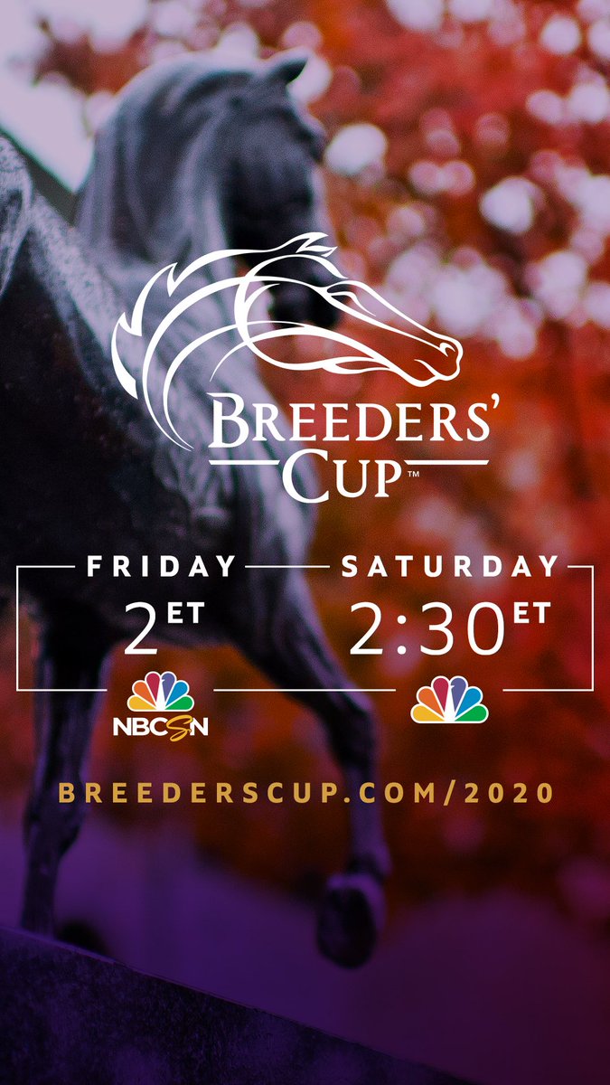 DonnaBBrothers's tweet image. I’m getting ready. Are you? 💜🏇🏻💜🏇🏻💜🏇🏻💜🏇🏻💜🏇🏻💜🏇🏻💜