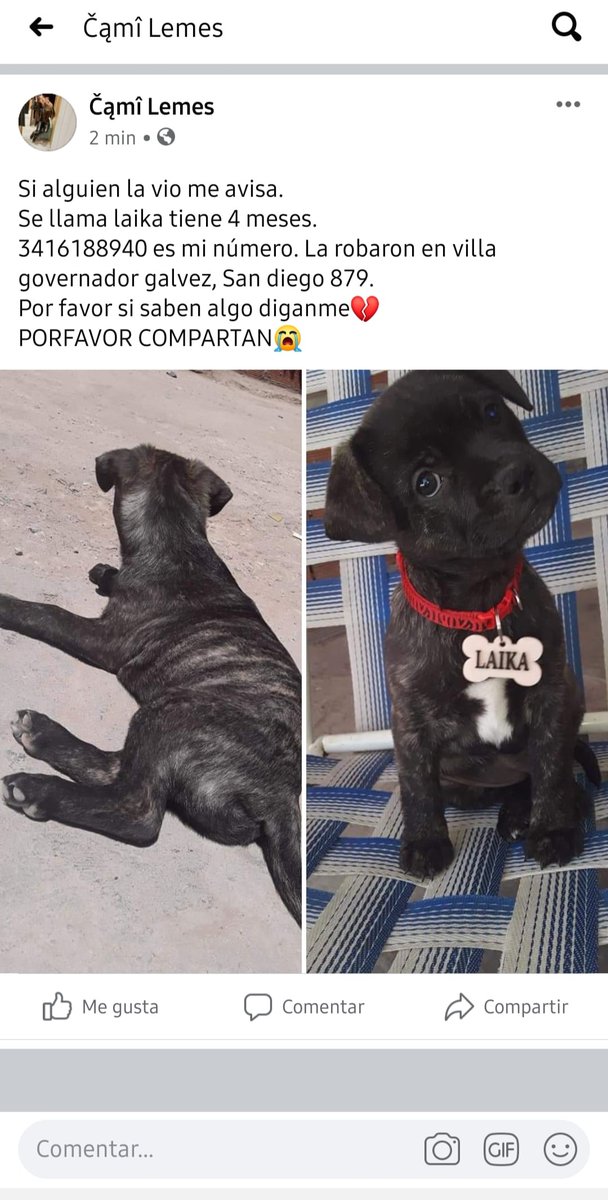 Lemes2Cami's tweet photo. Se que no tengo muchos seguidores pero les pido de corazon que compartan. Tengo un dolor en el Alma horrible.  Porfavor ayúdenme https://t.co/Y8p9xCoPzZ
