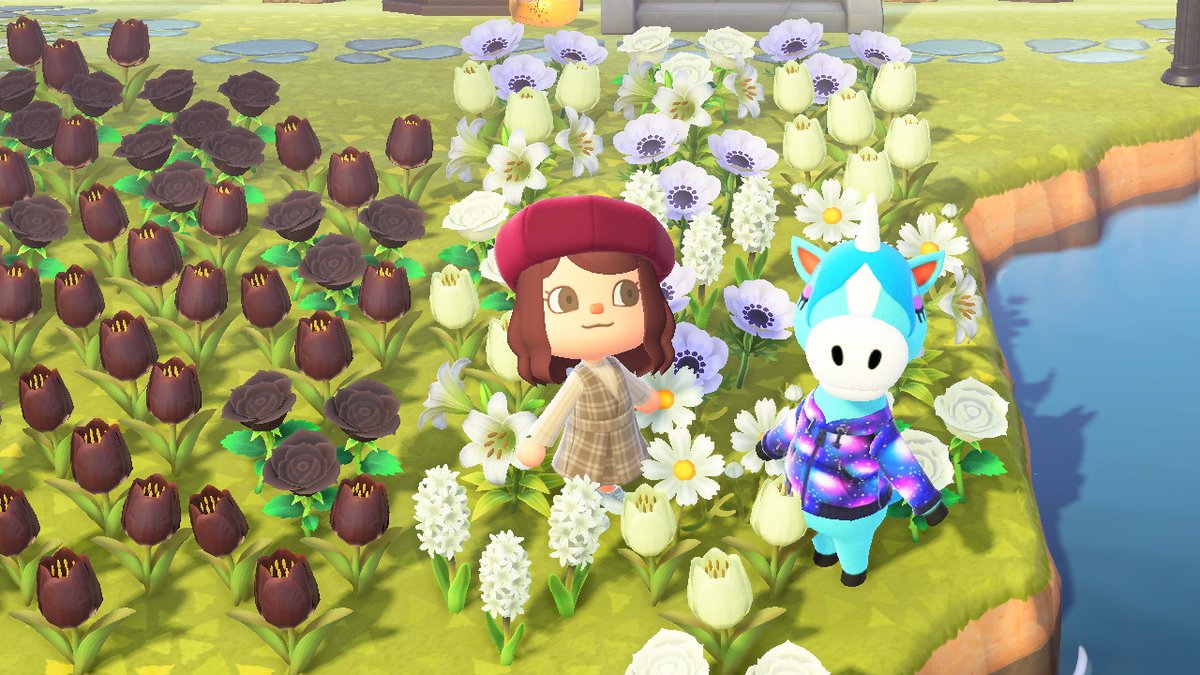AmberWilson24's tweet photo. #AnimalCrossing #ACNH #NintendoSwitch https://t.co/hf5pQNr2nd