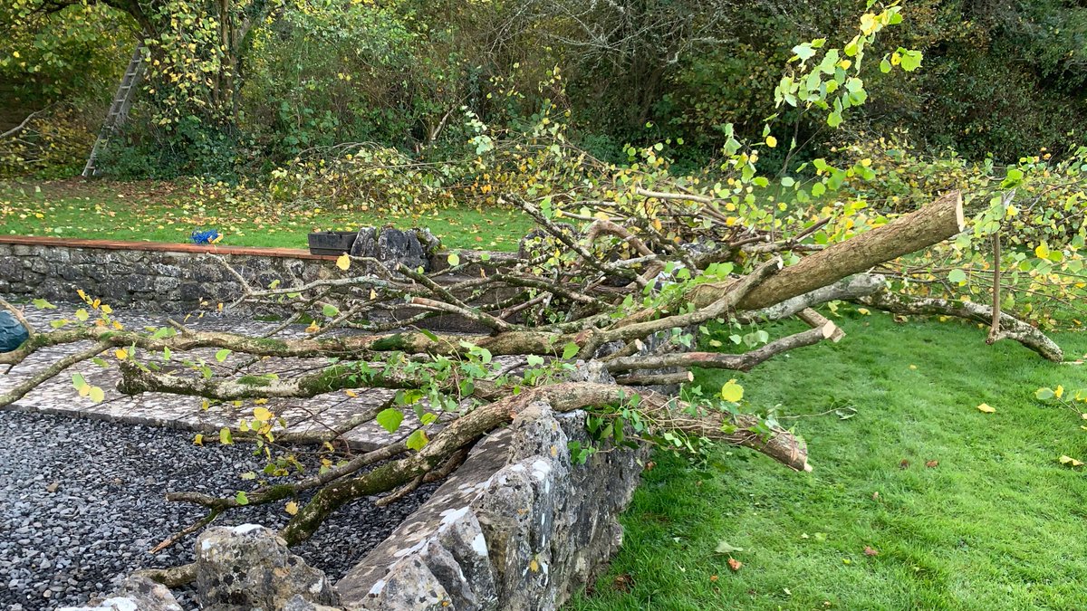 GowerBeachGuide's tweet image. Day eleven of #firebreaklockdown in #Gower 🏡🏴󠁧󠁢󠁷󠁬󠁳󠁿Beautiful day today. More cutting this morning and supermarket this afternoon. Not many people shopping in the supermarket.