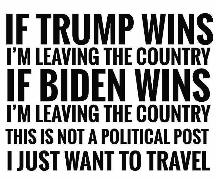 Prismatic_Ent's tweet photo. #Election2020  #Elecciones2020 https://t.co/HO8CuplF7w