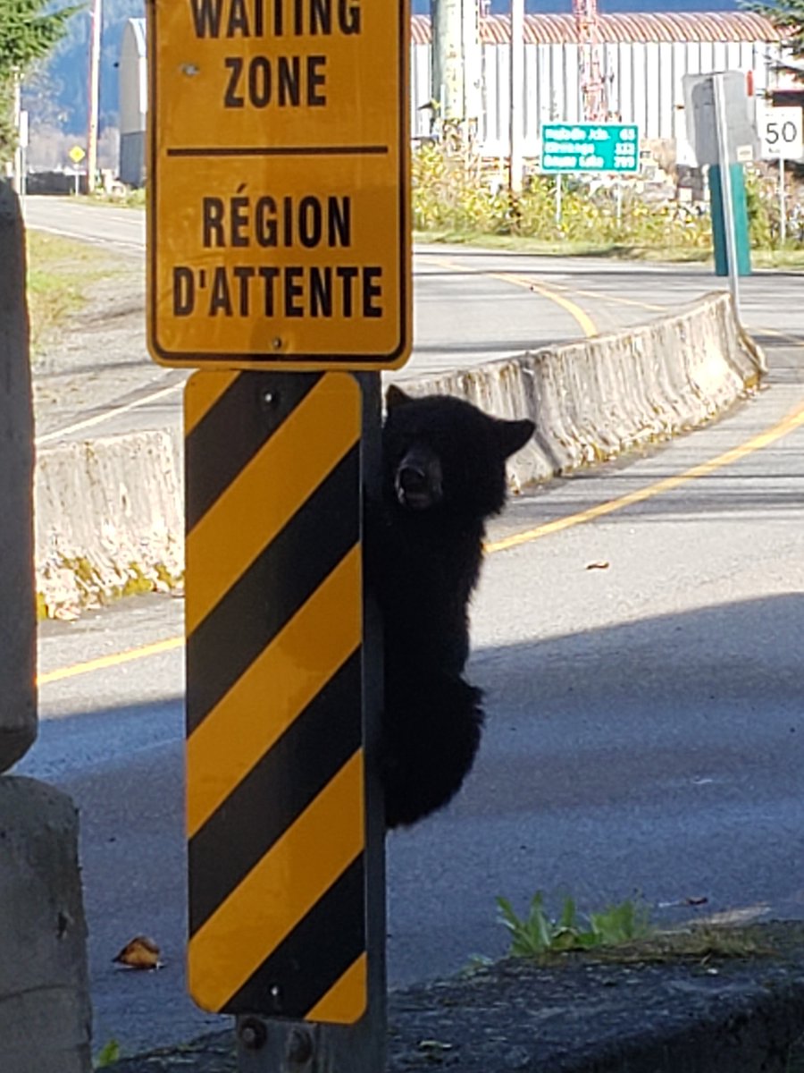 Border Services PAC tweet media