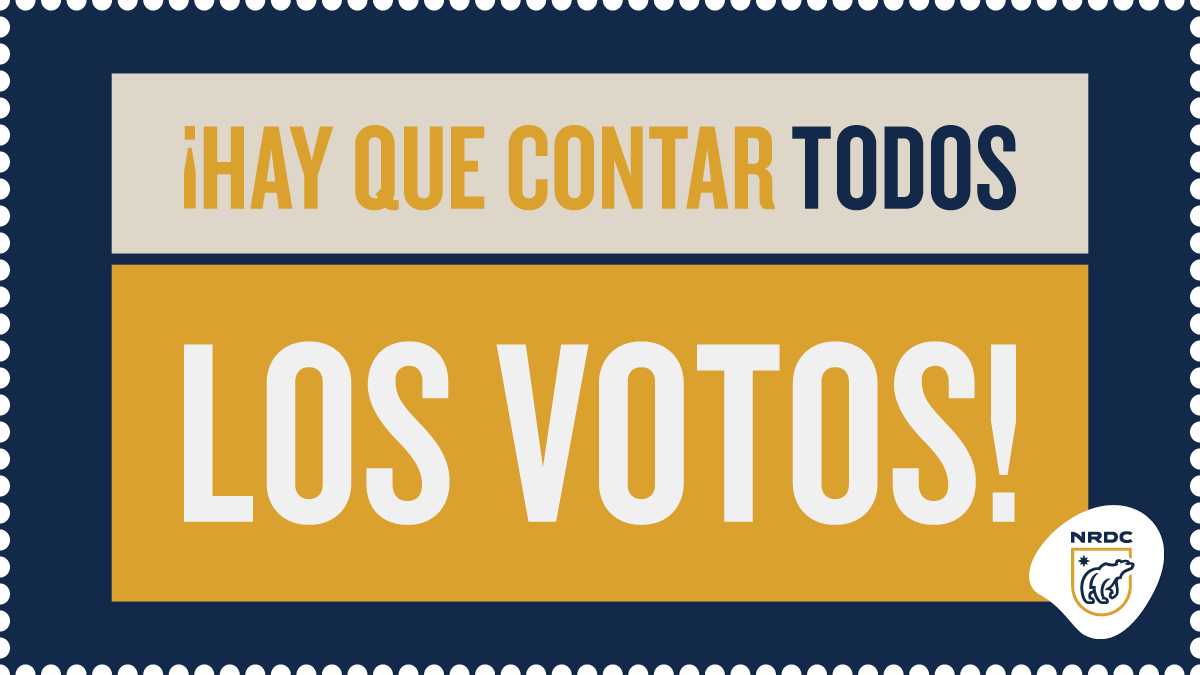 Hay que contar todos los votos! #elecciones2020 #todoslosvotoscuentan #cuententodoslosvotos #everyvotecounts #counteverysingleone