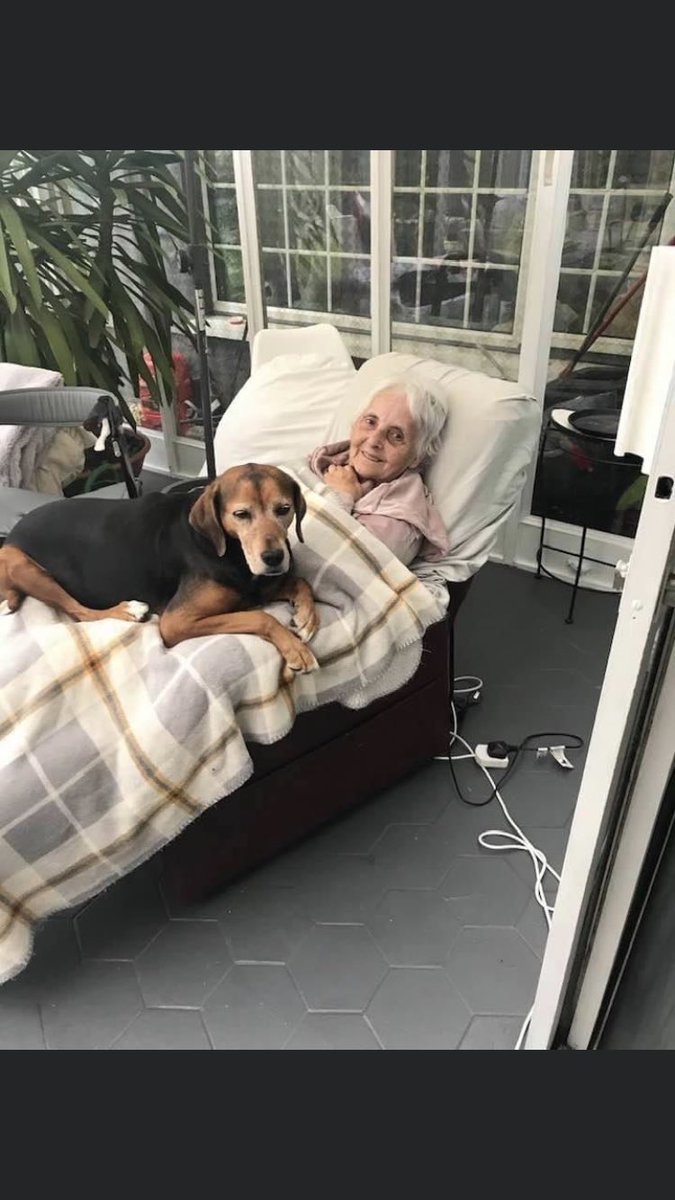 This is Shadow, who is very important to this lady. But Shadow has gone missing in Newbridge, Co. Kildare. Would be great if everyone could keep an eye out and try get these two reunited. Come on 2020!🤞🥰