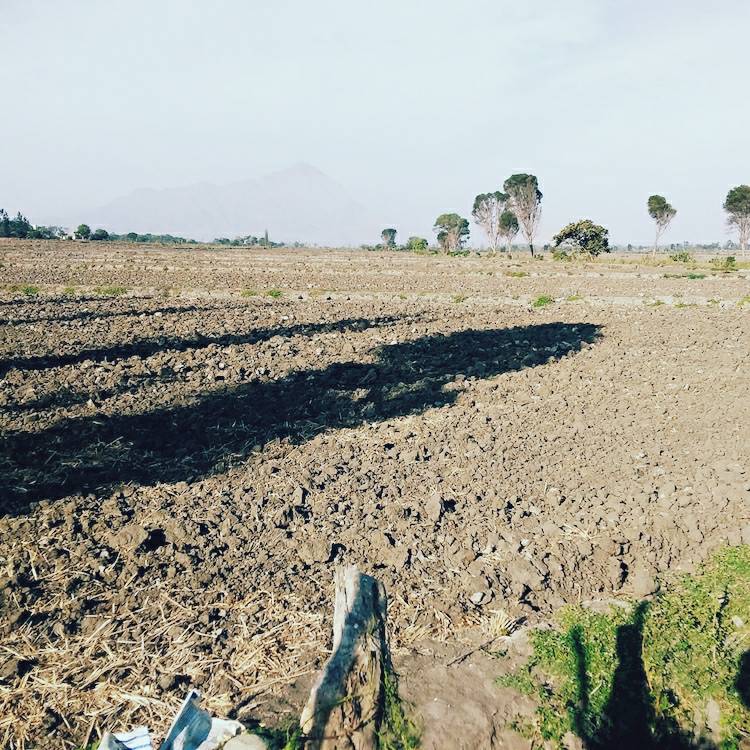gointmissions's tweet photo. Please pray for Olinda, one of our partners in Peru.

She continues to feed the hungry in her region, and she asked for prayer for all the villages in the Jequetepe valley. There is no water, and their crops won't grow. #prayforthenations https://t.co/Q2FNFjEaC4