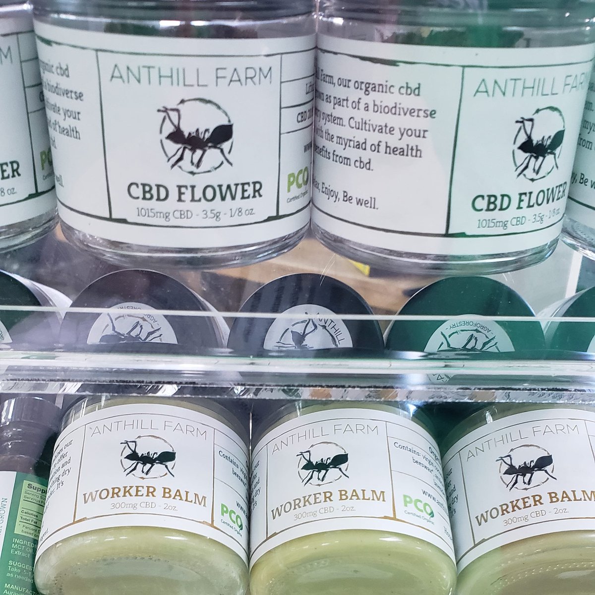 Lake Region IGA tweet media