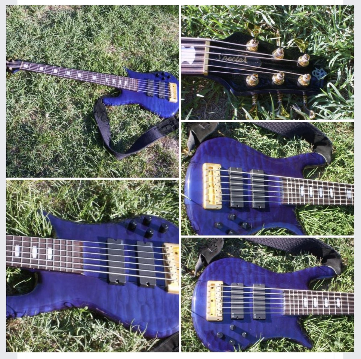 ladybassmusic's tweet photo. Happy anniversary of the day you cleaned out my bank account. And you’ve paid for yourself many times over in the years since. #grateful #spector #spectorbasses #ghs #ghsstrings #13years https://t.co/vfc4gcM0rn