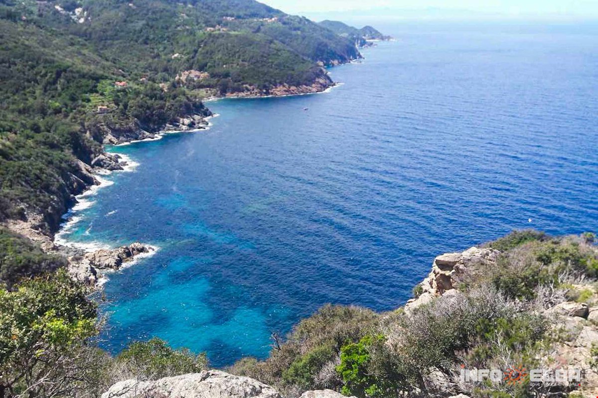 western_elba's tweet photo. If you like #trekkings, don't leave Elba without making the excursion Marciana Marina-Sant'Andrea. You will be fascinated by scenic views of the sea and the relaxing sounds of nature.
This track is 13 km long and it takes 5 hours to finish it. https://t.co/KG73G8dvvX