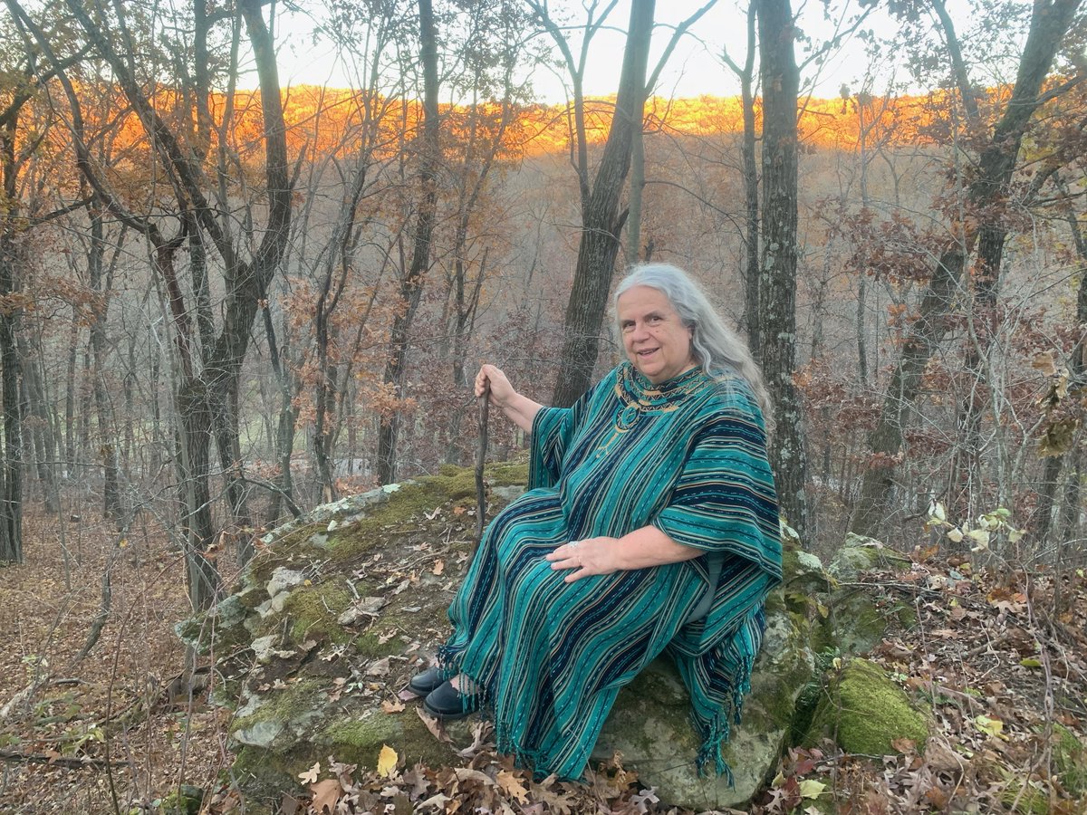 Selena_Fox's tweet photo. My new workshop on Spiritual Healing, debuts online tonight, Wednesday, November 4 at 7pm central. Watch via livestream to my #SelenaFoxUpdates Facebook page or listen via my #NatureSpirituality podcast on #CSNP at this link: https://t.co/RGuWnL6sqf https://t.co/c0oqV7b3Ww