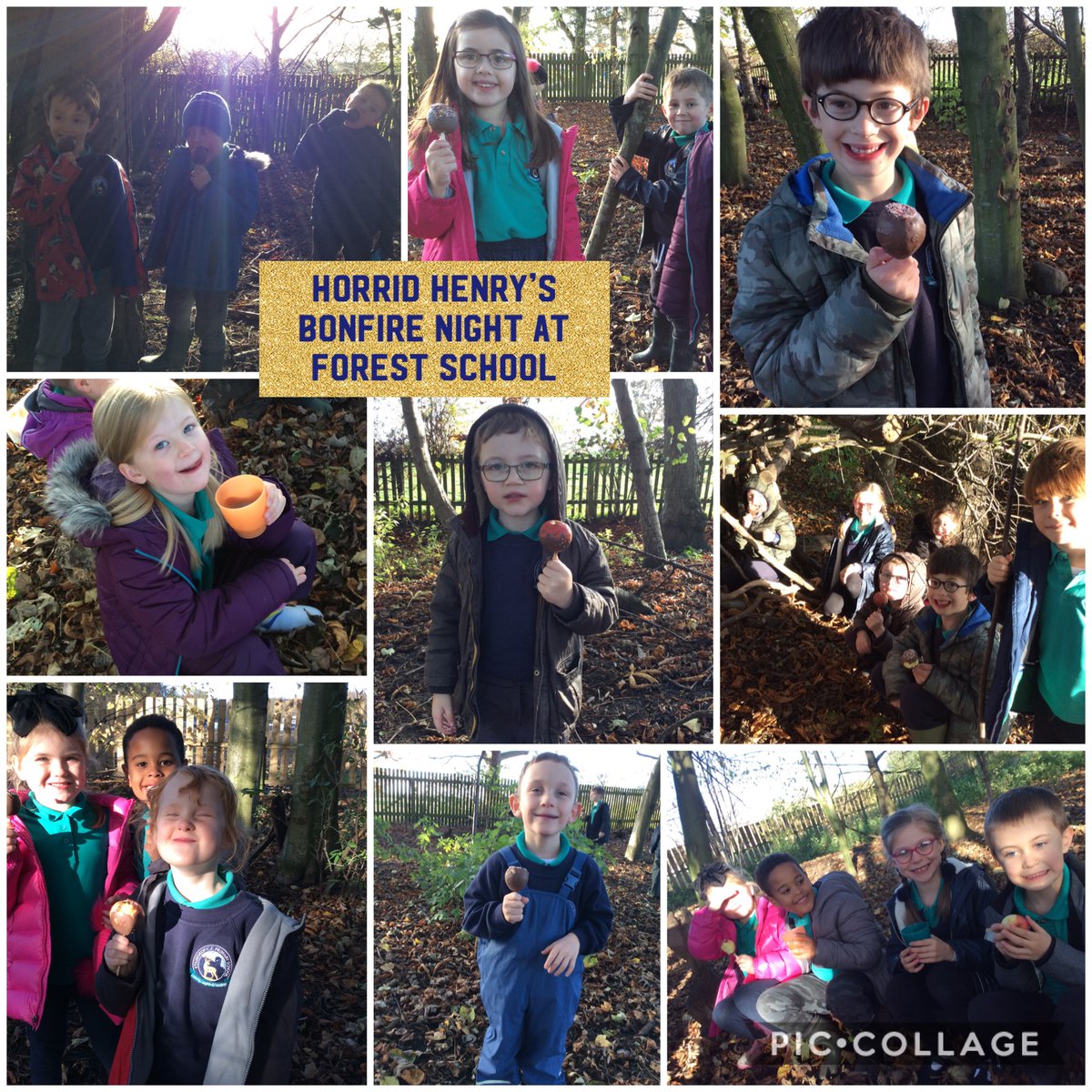 staindropceprim's tweet photo. In Year 2 we have been writing stories all about Horrid Henry on Bonfire night. We have loved going down to forest school this afternoon and sharing our stories around the camp fire. We even ate chocolate apples that we made this morning and had hot chocolate! Yummy! 🔥🍎😍 https://t.co/Rqh7YfNlSw