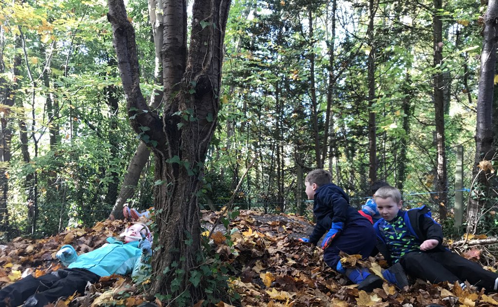 DanesfieldFS's tweet photo. Y1 were epic in the forest today 🌳 from pine cone decorations to fire and mallet making....we were very busy! But we made time to be #leafangels 🍃🍂🍁🌳❤️🍂😁@DanesfieldSchl @DanesfieldY1 https://t.co/MFglsPVTN7